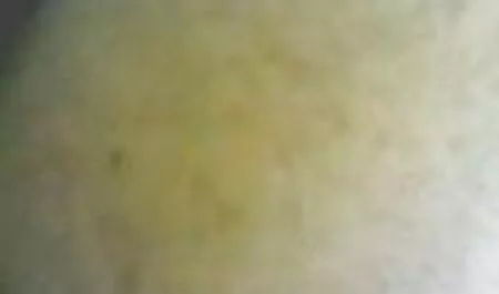 Máu sex gay nhật tara
