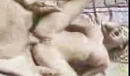 Cô gái trong lâu vớ đánh mình phim gay sex nhật bản để Steve