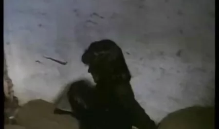 Tình dục sex gay nhat ban
